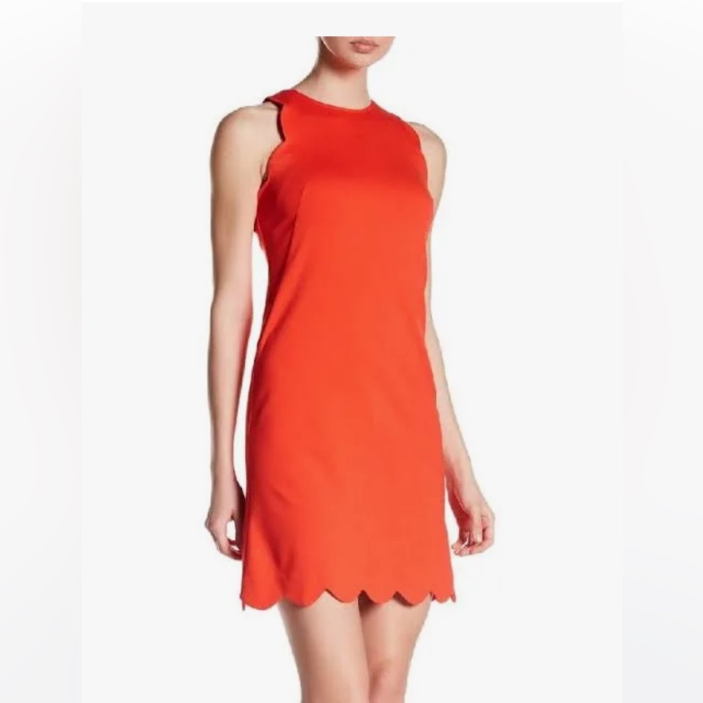 Never worn women’s dress